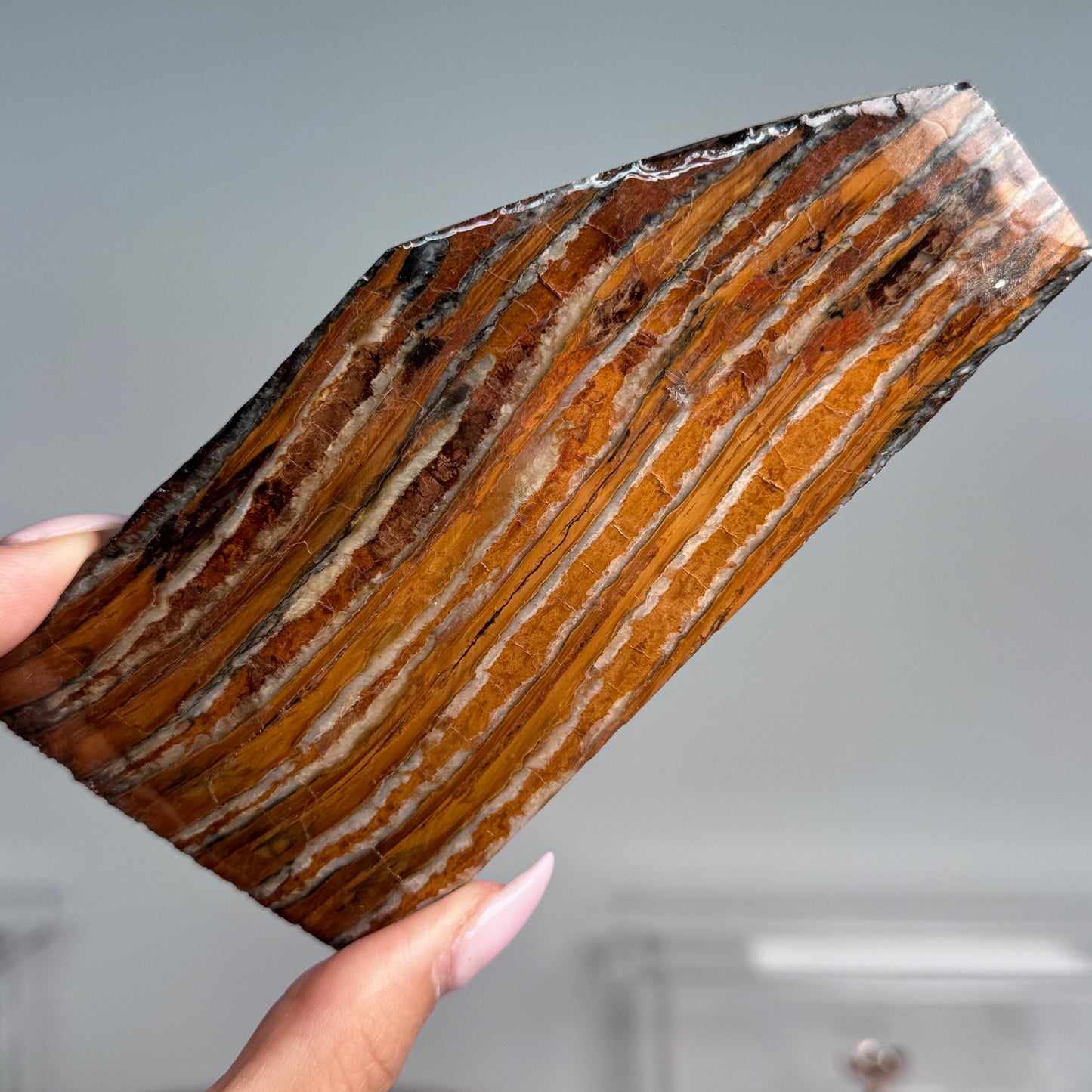 Mammoth Tooth Slabs