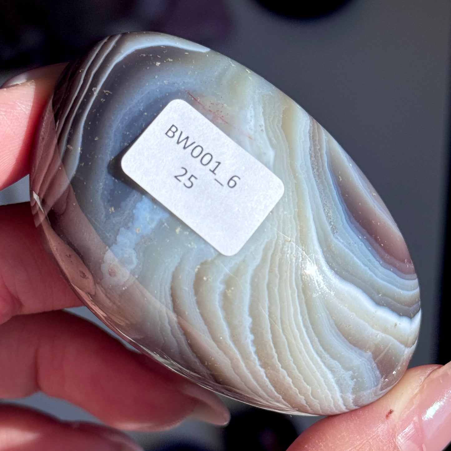 Polished Botswana Agate Freeform #6