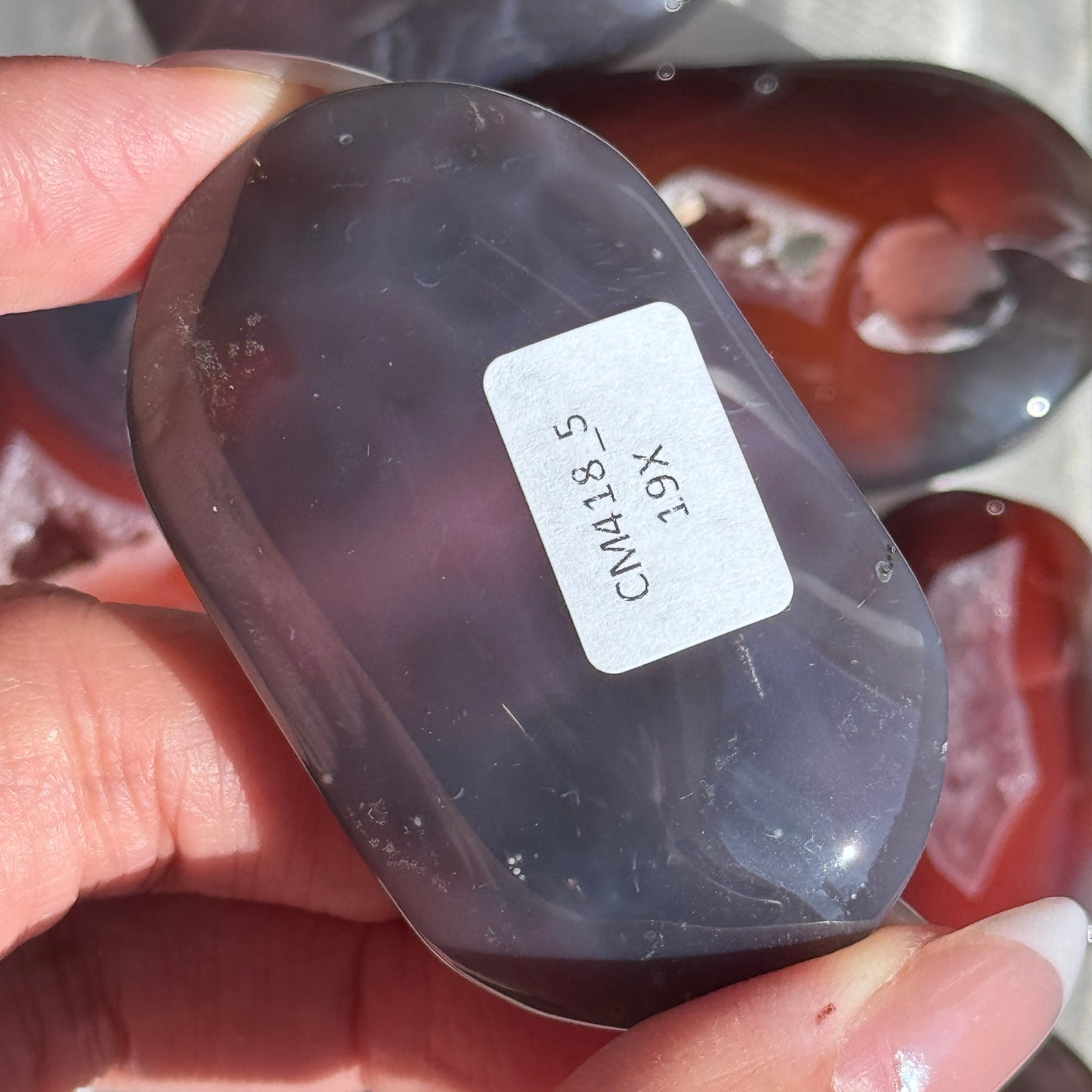 Mozambique Strawberry Agate Palm (Batch 2) #5