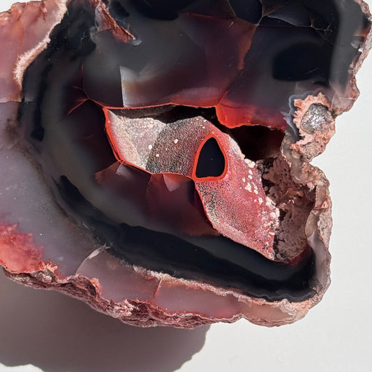 red fox agate argentina