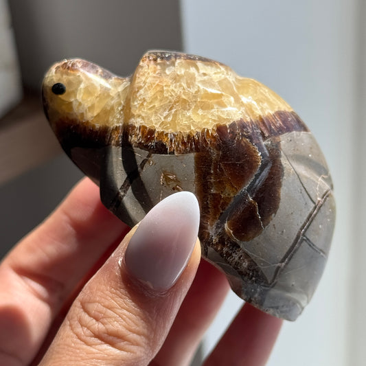 Septarian Turtle #8