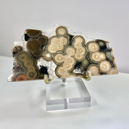 Old Stock - Druzy Ocean Jasper Slabs