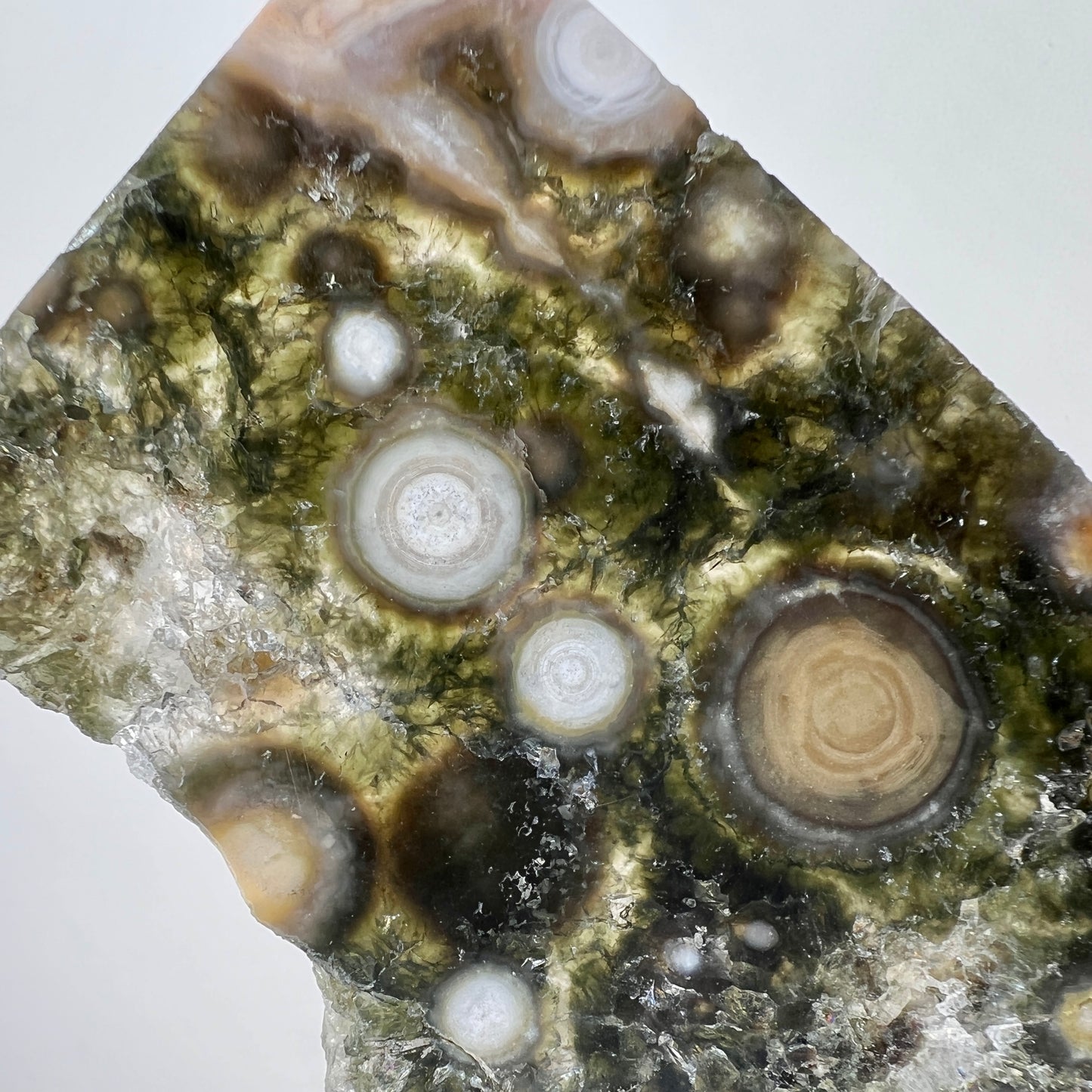 Old Stock - Druzy Ocean Jasper Slabs