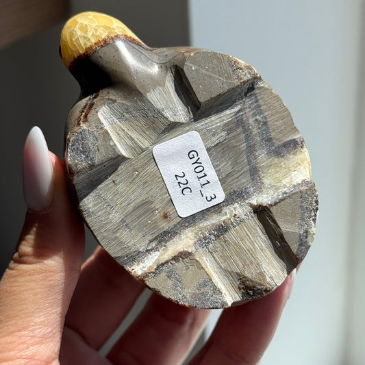 Septarian Turtle #3