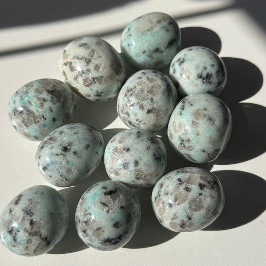 Kiwi Jasper Tumbles (Set of 2)
