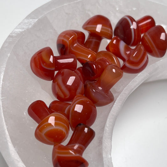 Carnelian Mini Mushrooms
