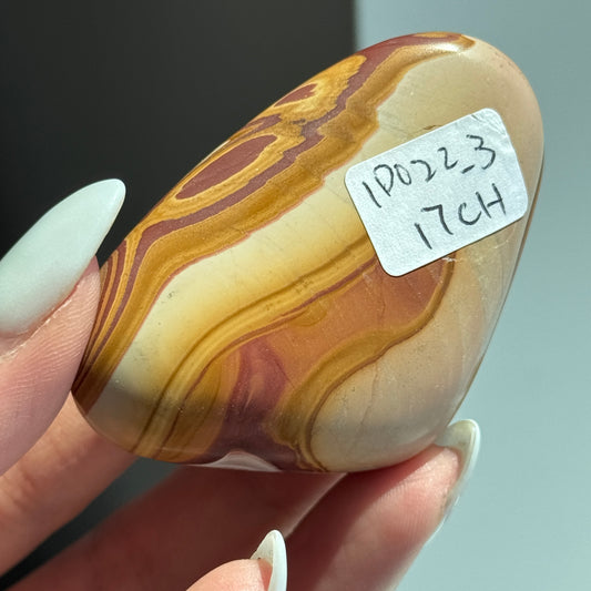 Rainbow Jasper FF #3