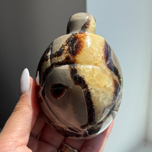 Septarian Turtle #2