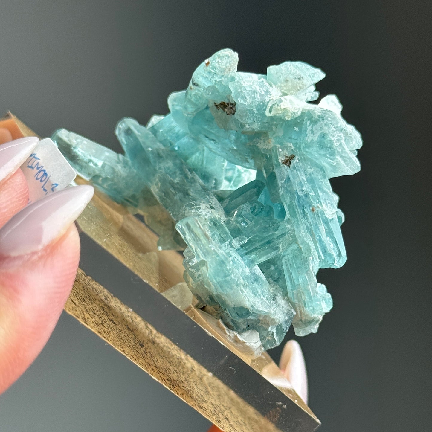 Tapered Aquamarine Specimen (Mimoso del Sol, Espirito Santo, Brazil 1992) #3