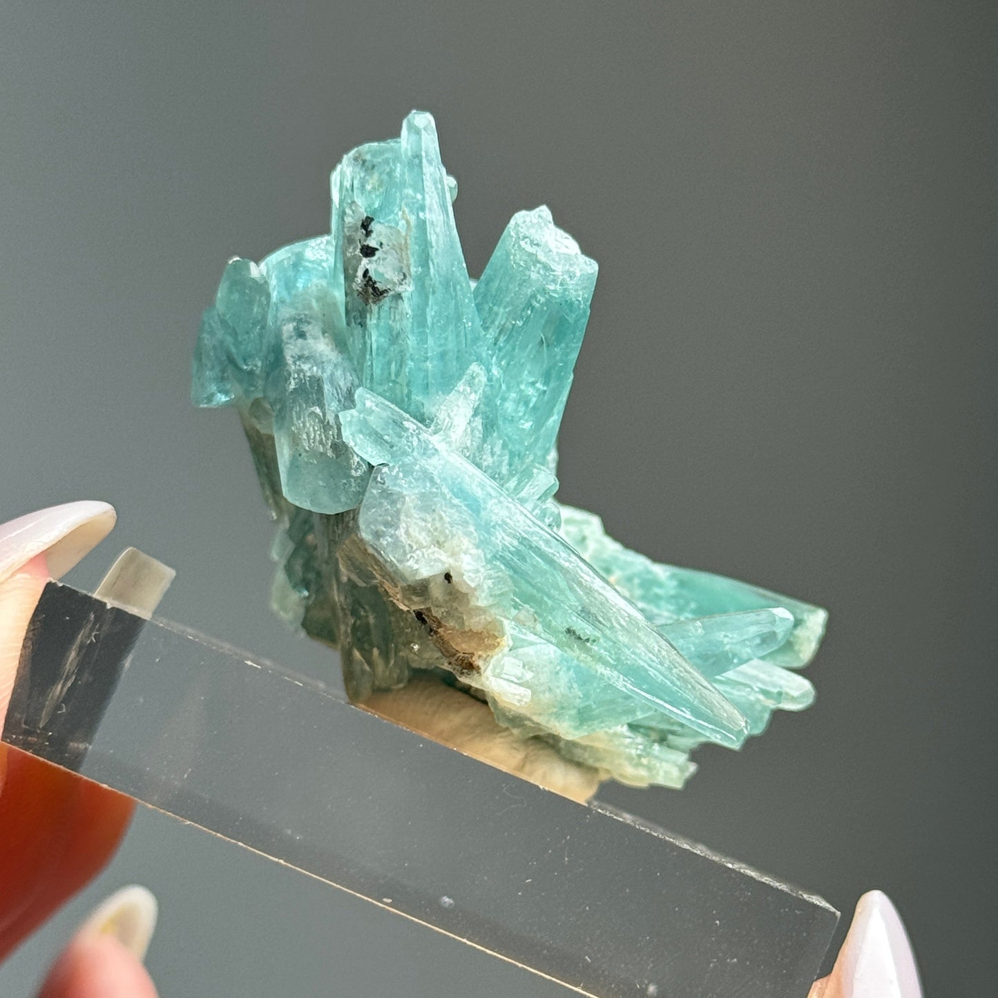 Tapered Aquamarine Specimen (Mimoso del Sol, Espirito Santo, Brazil 1992) #1