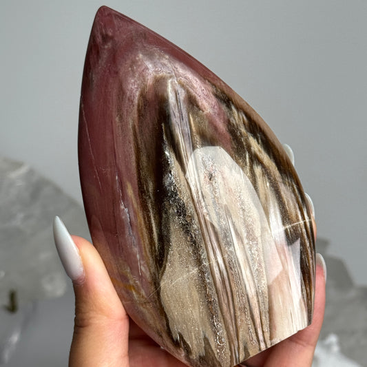 Petrified Wood Flame #1