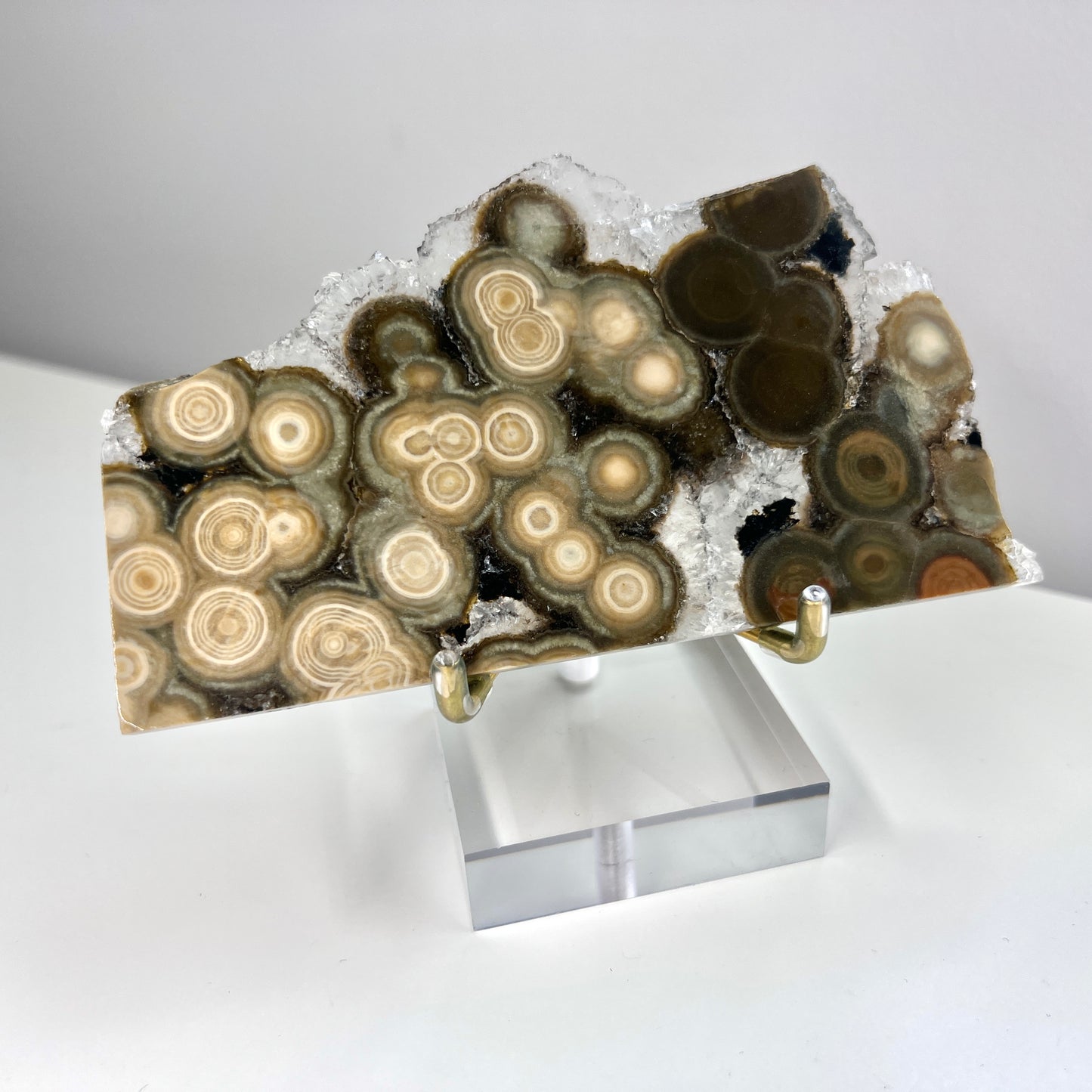 Old Stock - Druzy Ocean Jasper Slabs