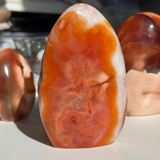 Carnelian Freeform #1