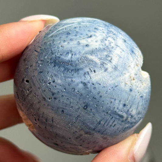Blue Coral Sphere #4