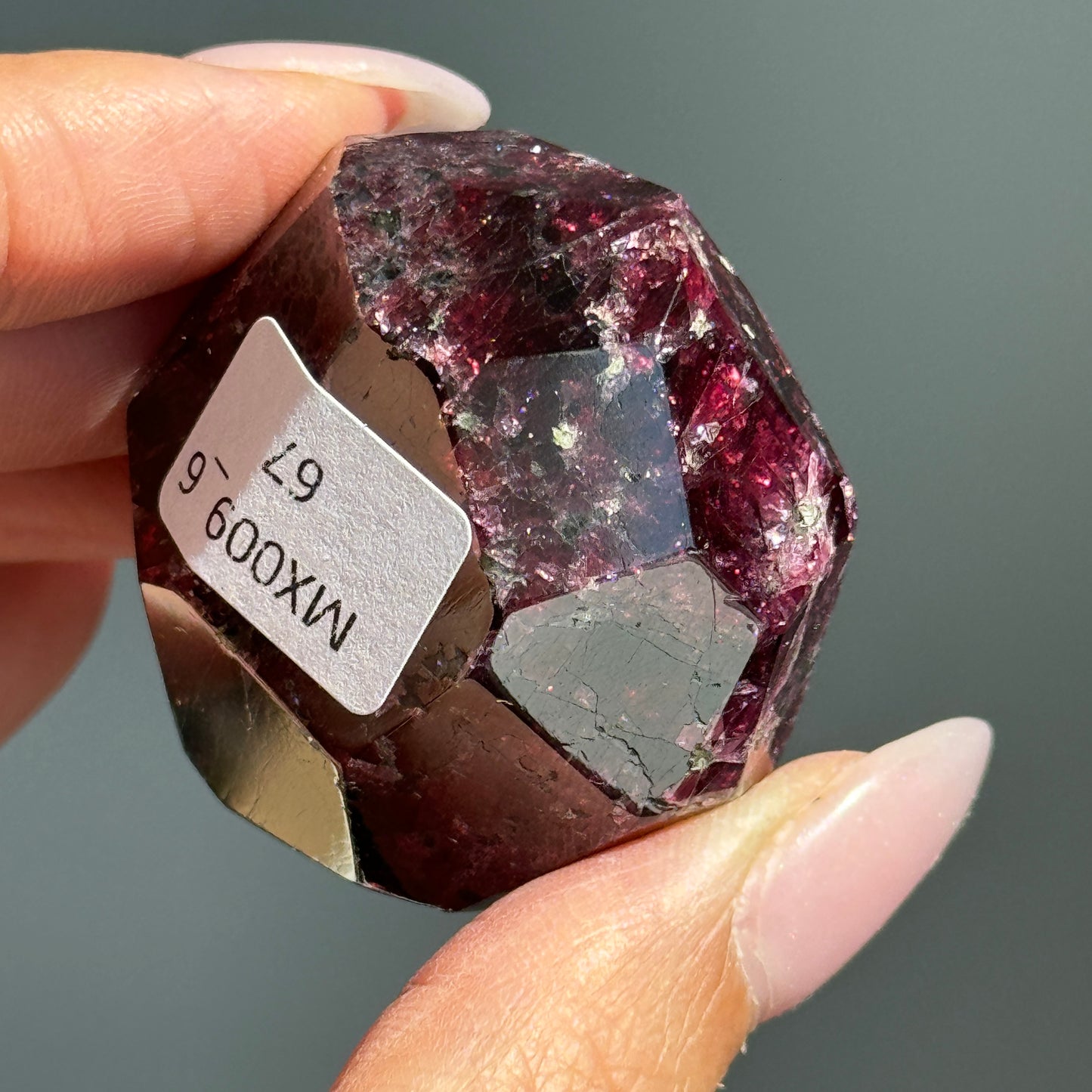 Gem Garnet #6