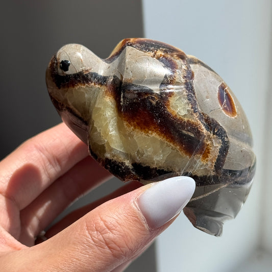 Septarian Turtle #2