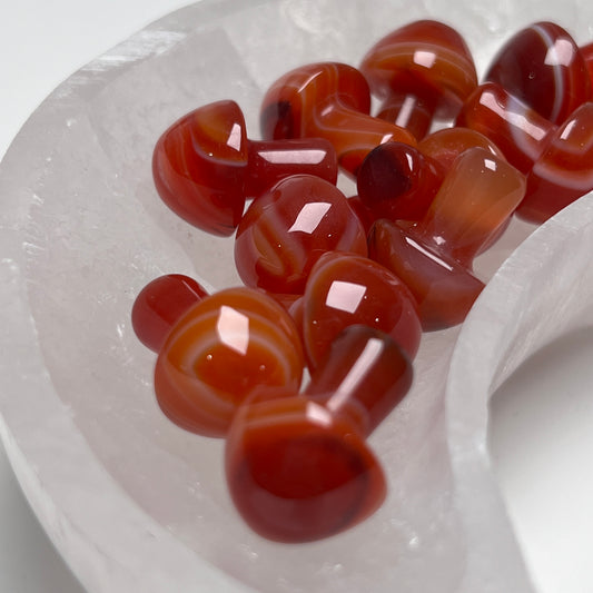 Carnelian Mini Mushrooms