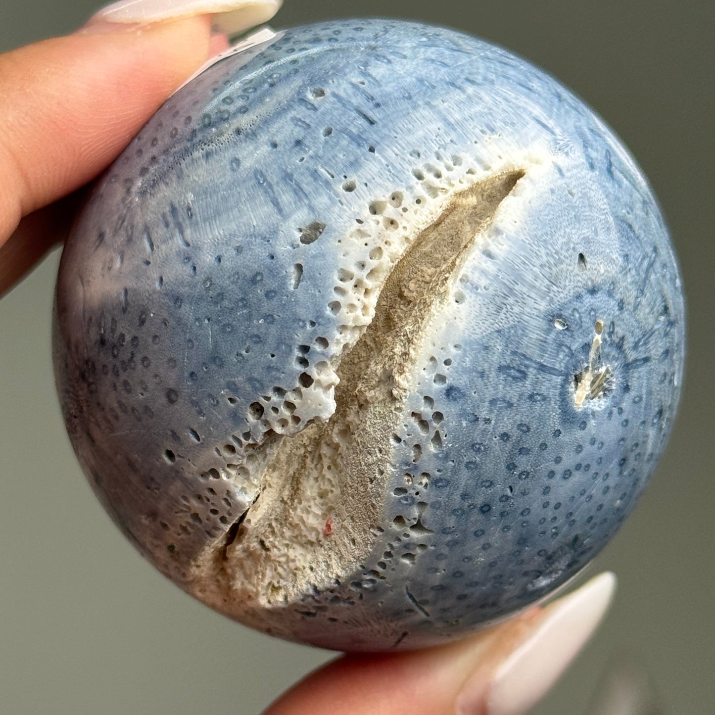 Blue Coral Sphere #4