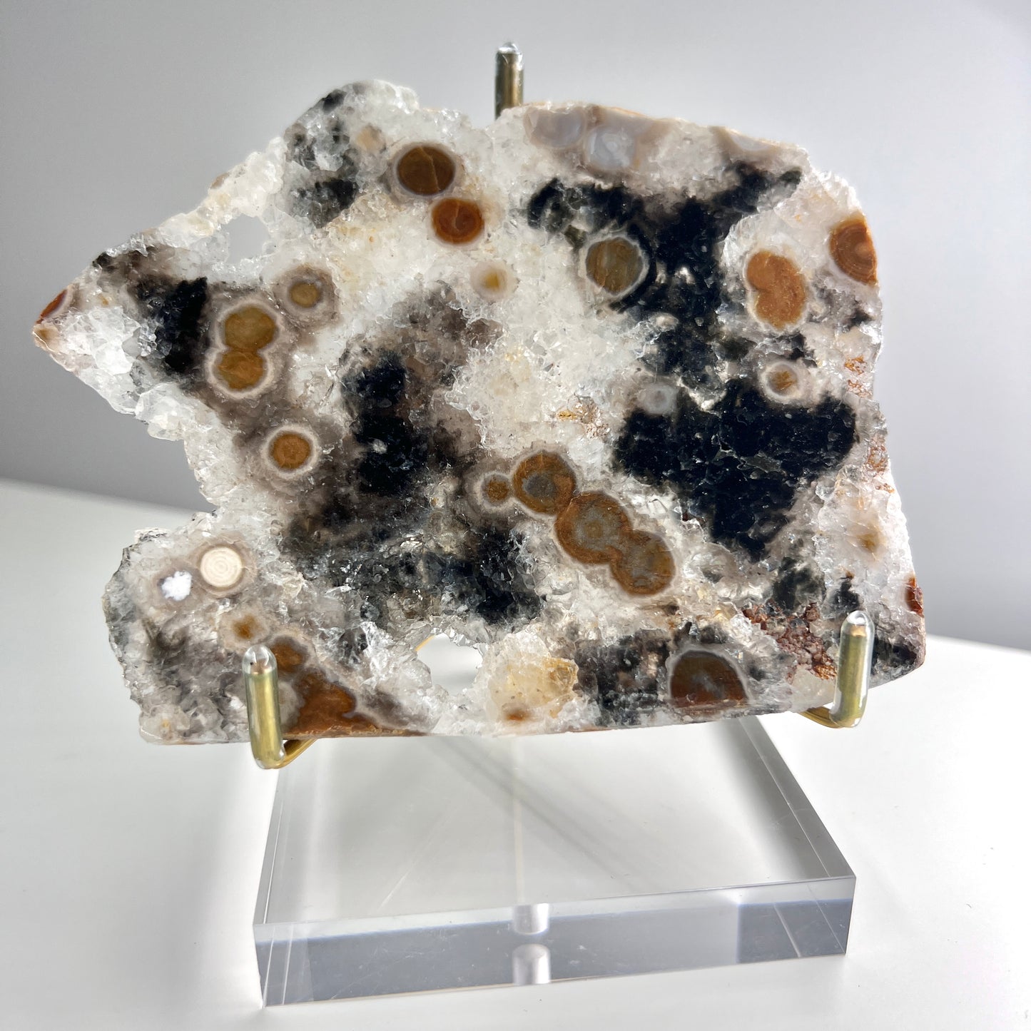 Old Stock - Druzy Ocean Jasper Slabs