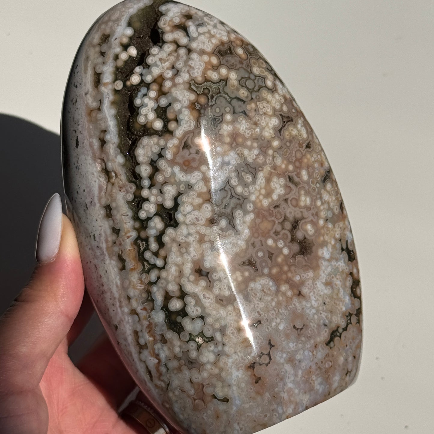 OJ Freeform T25 #12