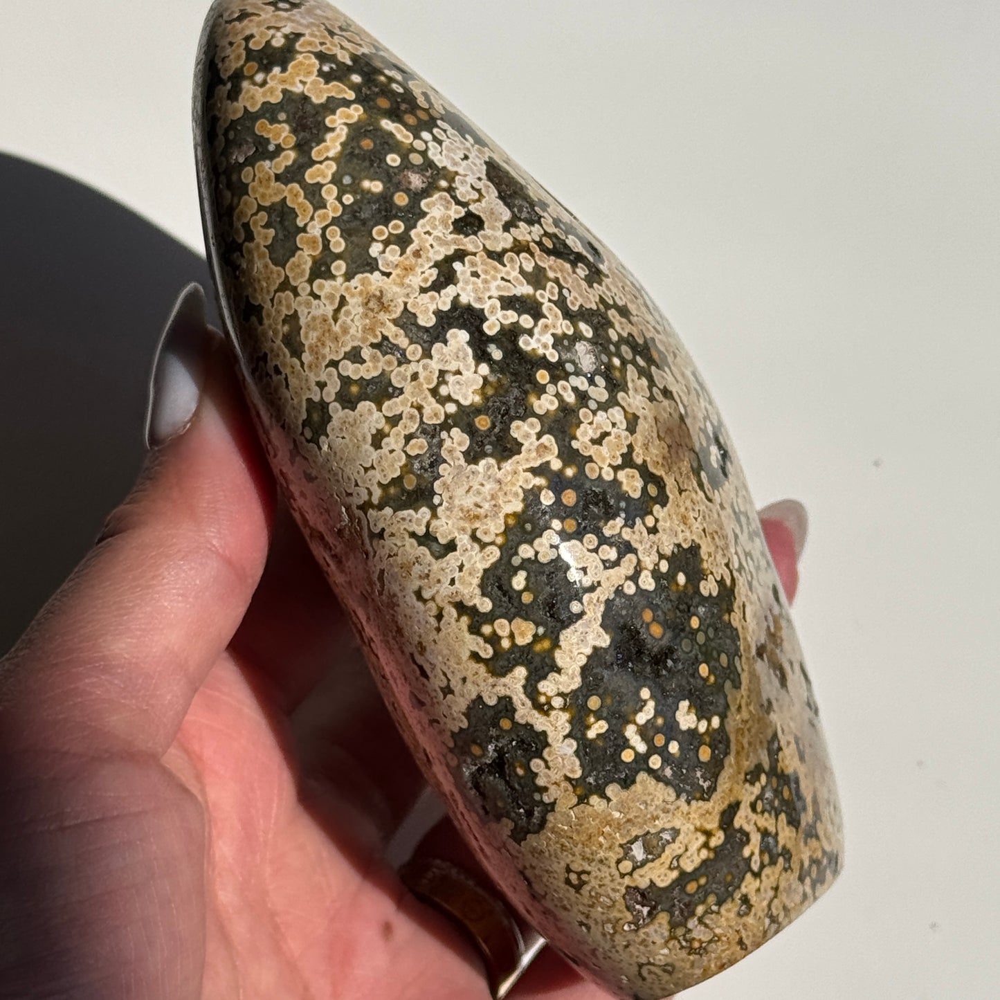 OJ Freeform T25 #8
