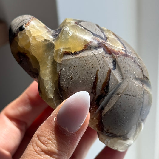 Septarian Turtle #6