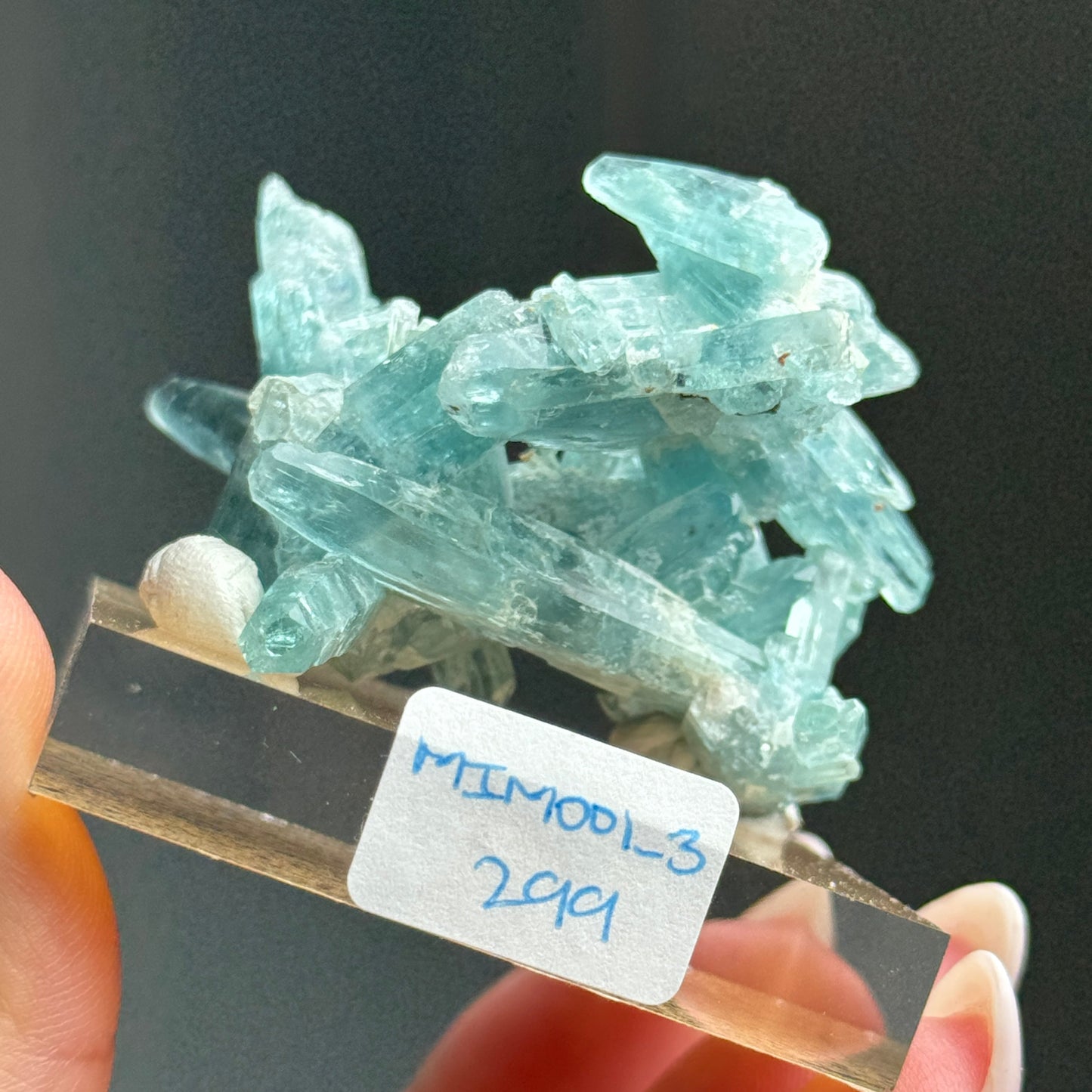 Tapered Aquamarine Specimen (Mimoso del Sol, Espirito Santo, Brazil 1992) #3