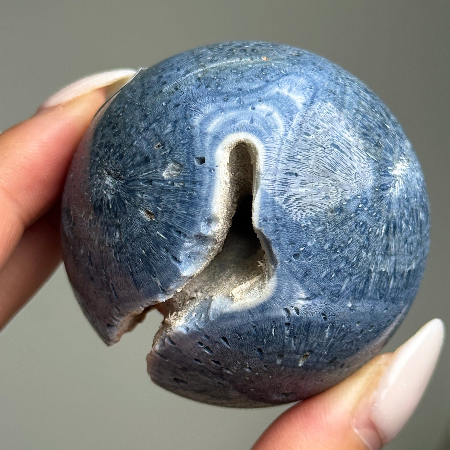 Blue Coral Sphere #2