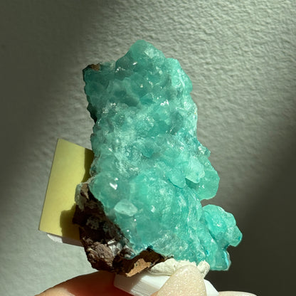 Smithsonite Rosasite Specimen [M'fouati District, Republic of Congo] #33