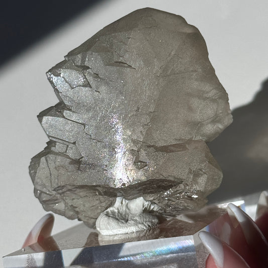 Gwindel Quartz Specimen [Talefre Glacier, Chamonix, French Alps] #8