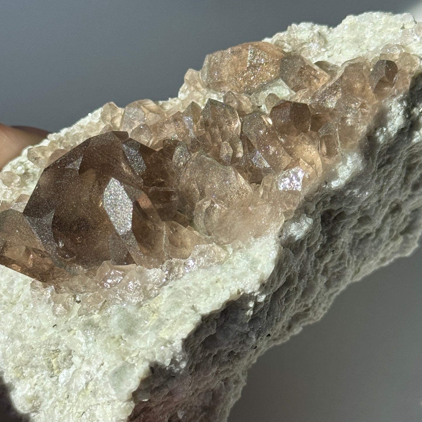 Gwindel Quartz Cluster Specimen on Matrix [Talefre Glacier, Chamonix, French Alps] #6