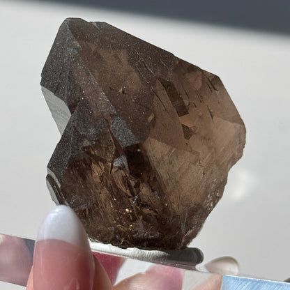 Gwindel Quartz Specimen [Talefre Glacier, Chamonix, French Alps] #10