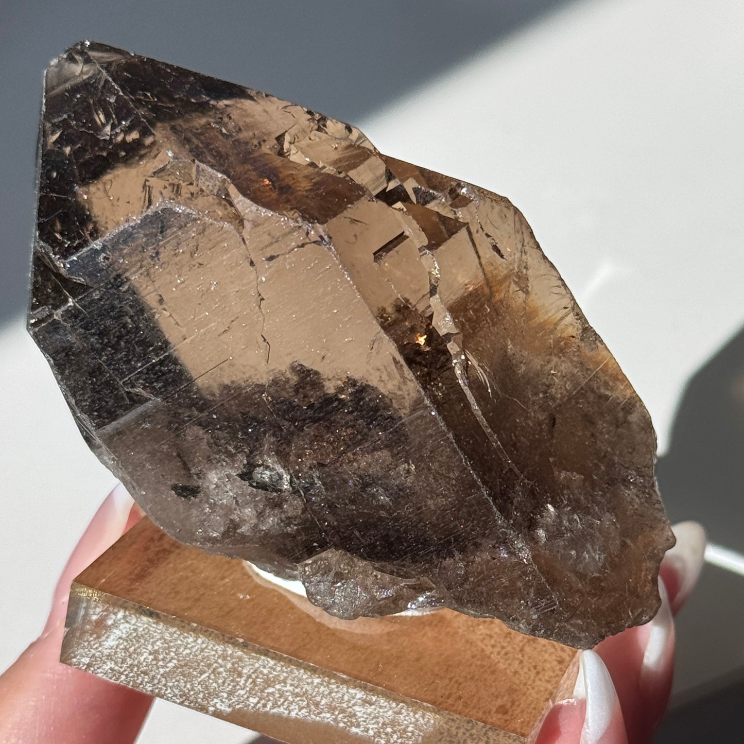 Gwindel Quartz Specimen [Talefre Glacier, Chamonix, French Alps] #13