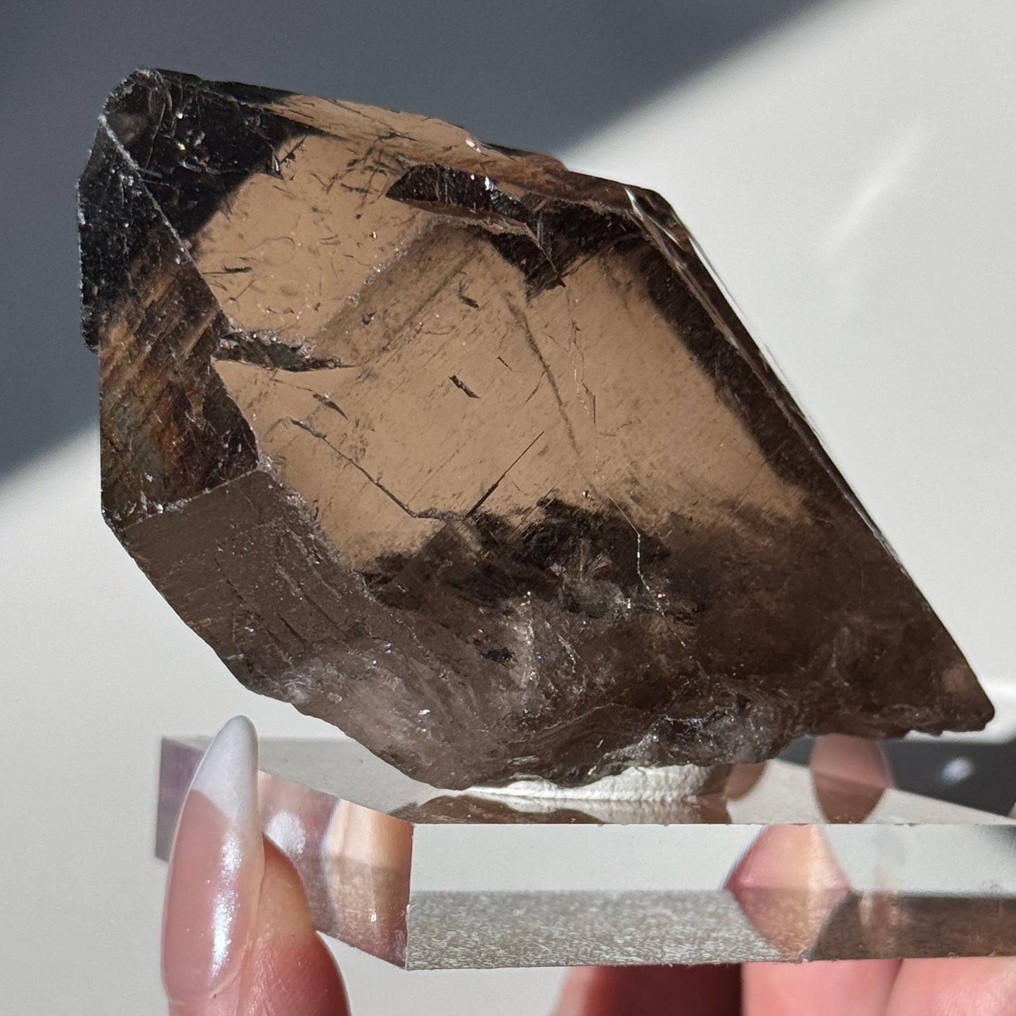 Gwindel Quartz Specimen [Talefre Glacier, Chamonix, French Alps] #13