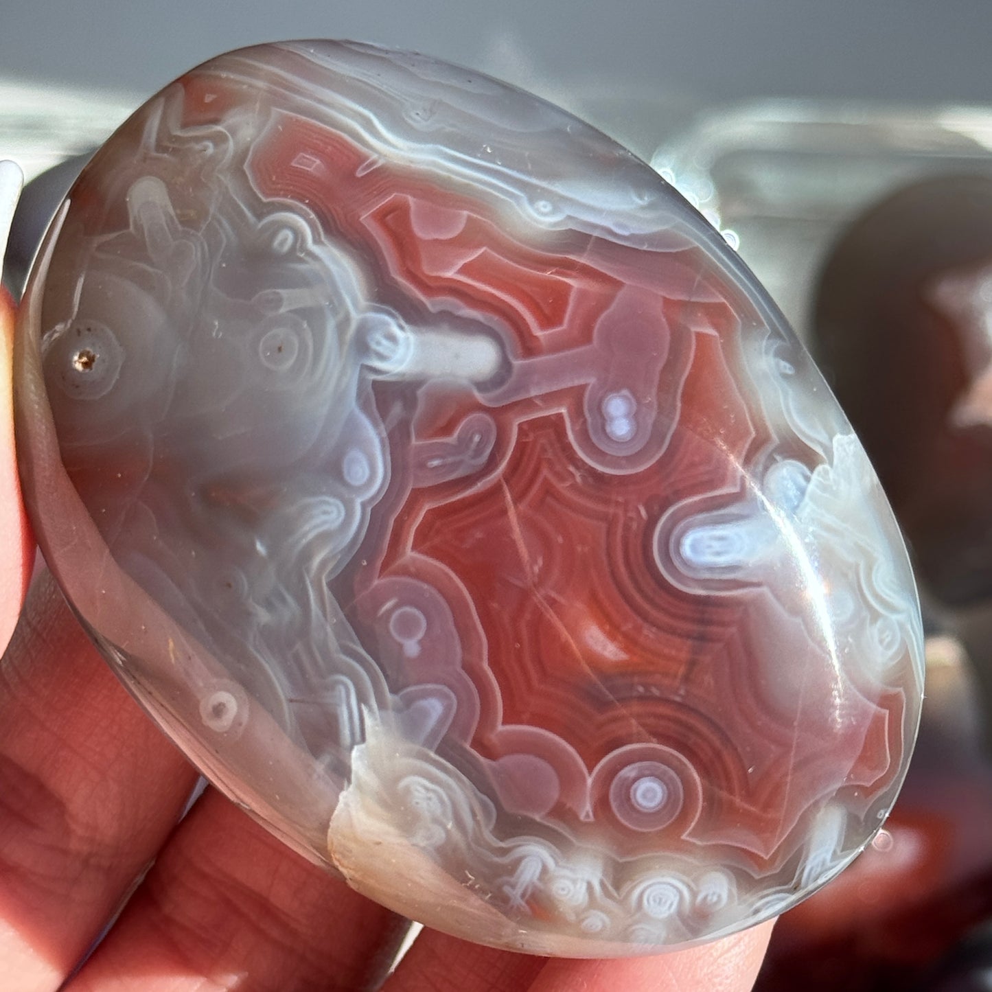 Mozambique Strawberry Agate Freeform Palm #29