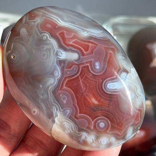 Mozambique Strawberry Agate Freeform Palm #29
