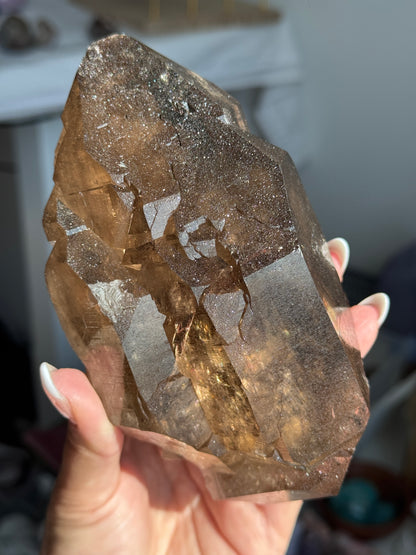 XL Statement Gwindel Quartz Specimen [Talefre Glacier, Chamonix, French Alps] #9