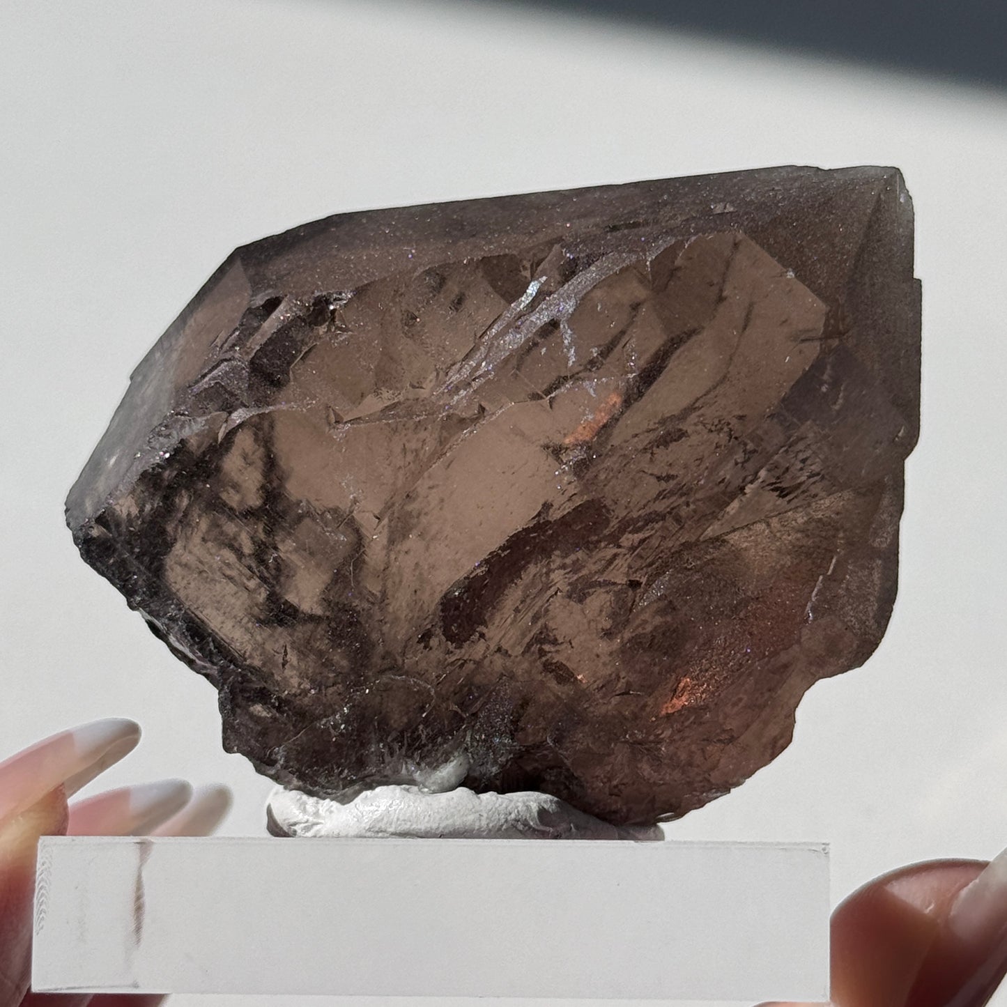 Gwindel Quartz Specimen [Talefre Glacier, Chamonix, French Alps] #10