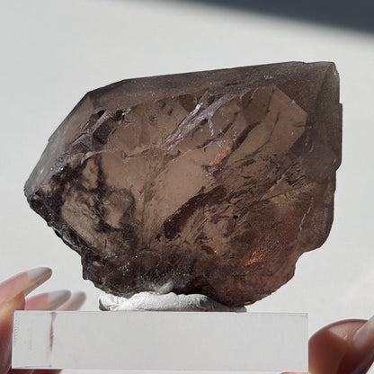 Gwindel Quartz Specimen [Talefre Glacier, Chamonix, French Alps] #10