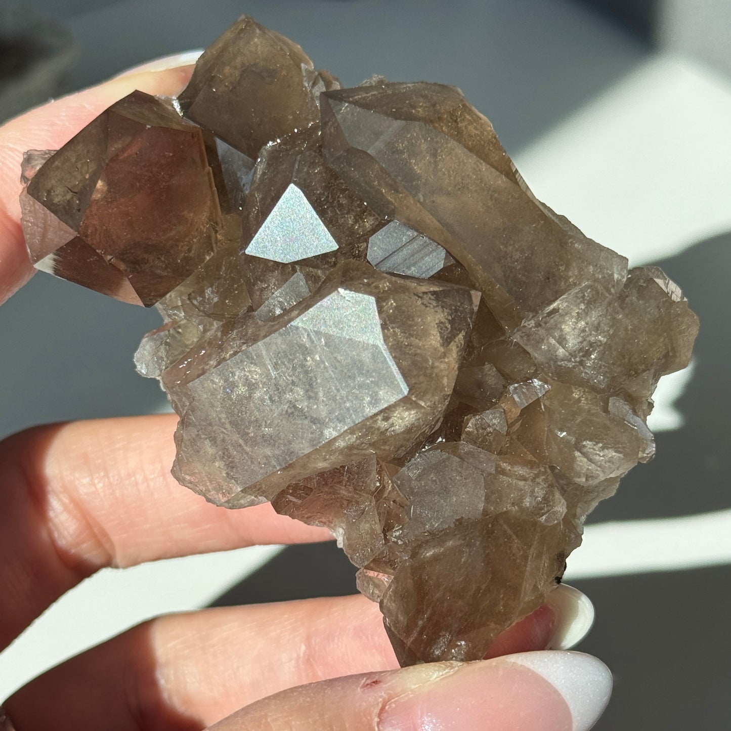 Gwindel Quartz Cluster Specimen [Talefre Glacier, Chamonix, French Alps] #5