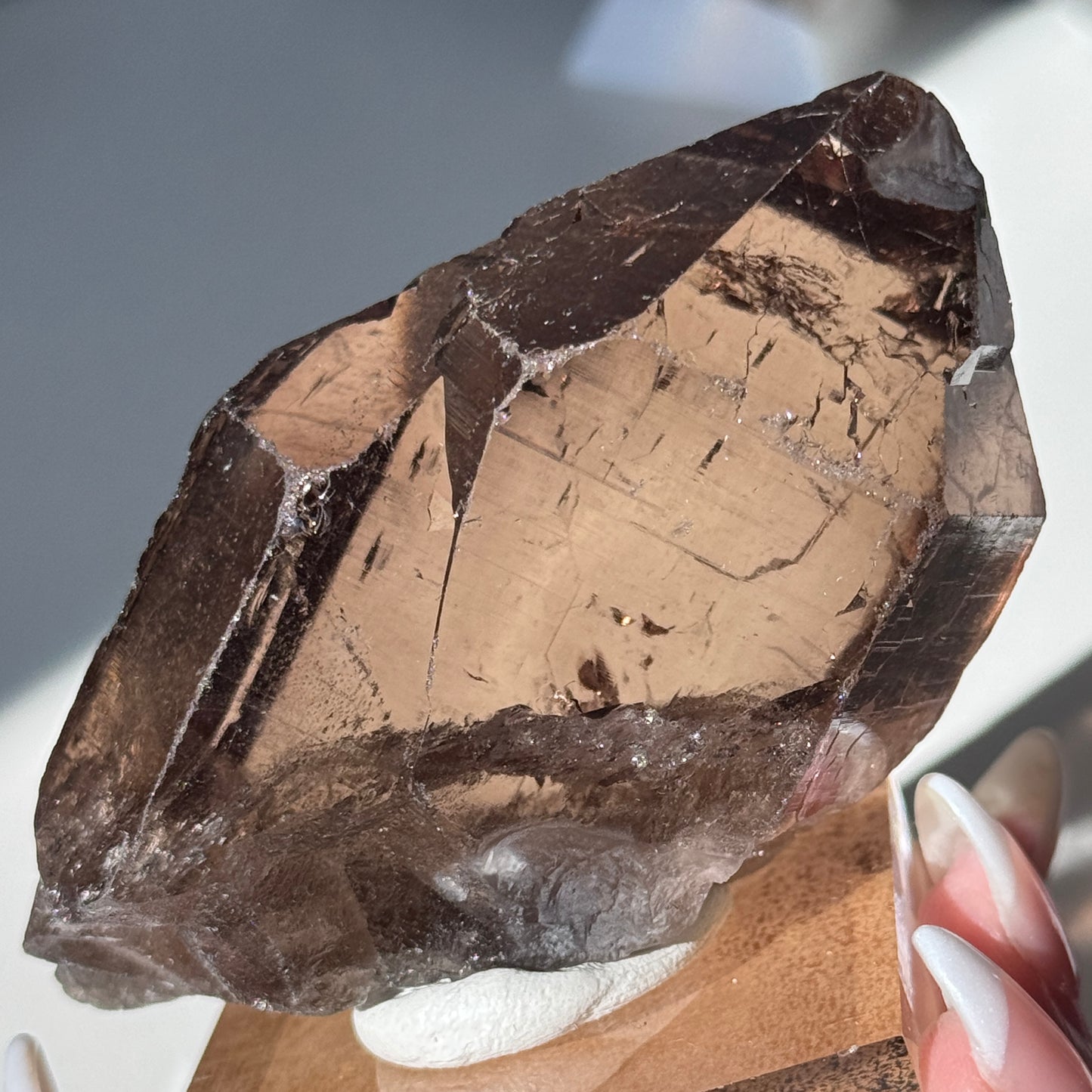 Gwindel Quartz Specimen [Talefre Glacier, Chamonix, French Alps] #13