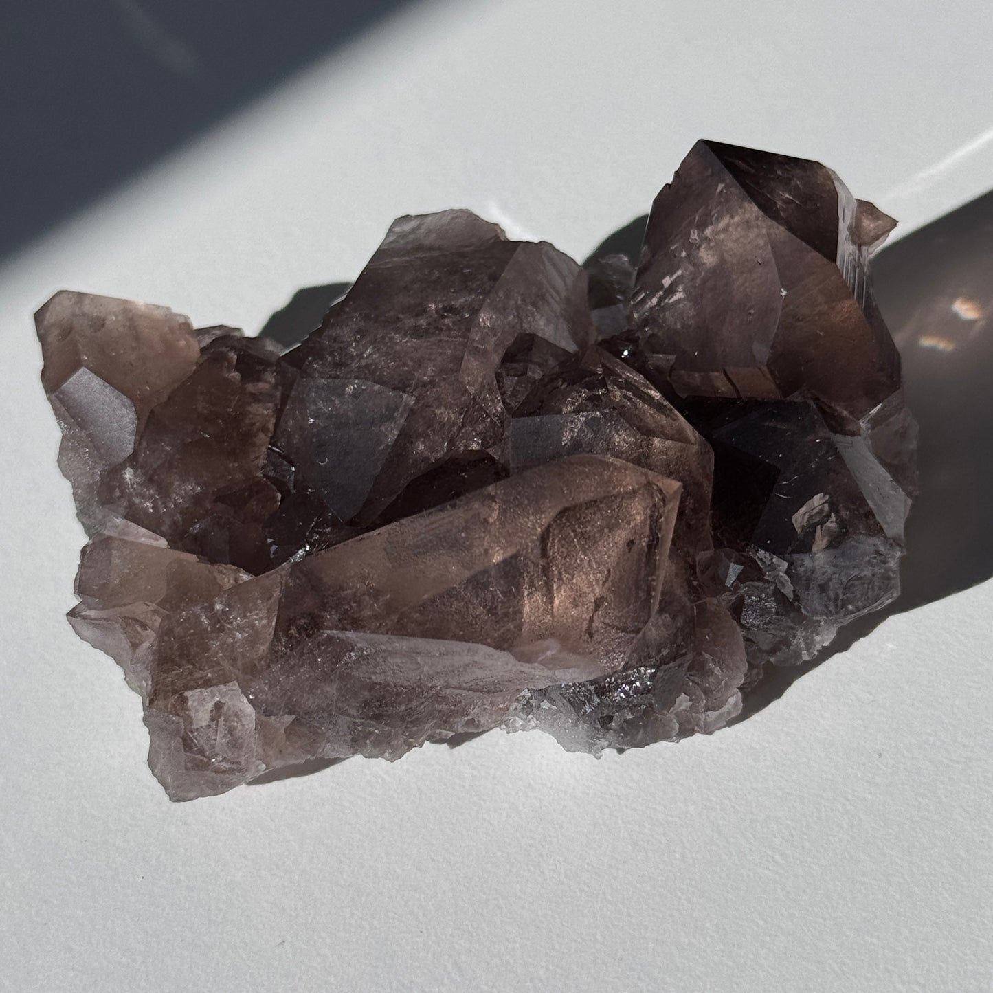 Gwindel Quartz Cluster Specimen [Talefre Glacier, Chamonix, French Alps] #5