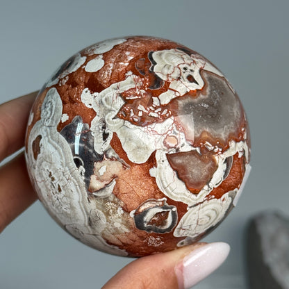 Money Agate Sphere #1, held in hand, showing rust-red, cream and dark orbicular patterns.
