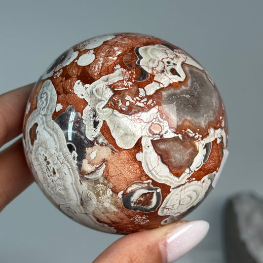 Money Agate Sphere #1, held in hand, showing rust-red, cream and dark orbicular patterns.