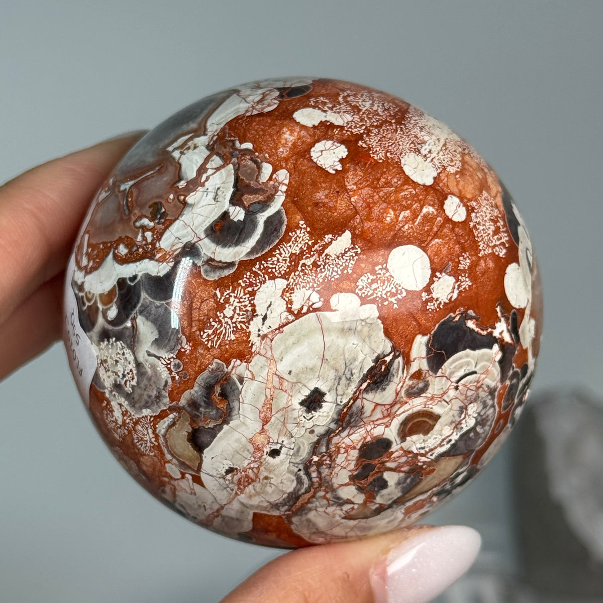 Money Agate Sphere #1, alternate view showing rust-red, cream and dark orbicular patterns.