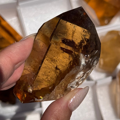 semi polished brazilian citrine freeform