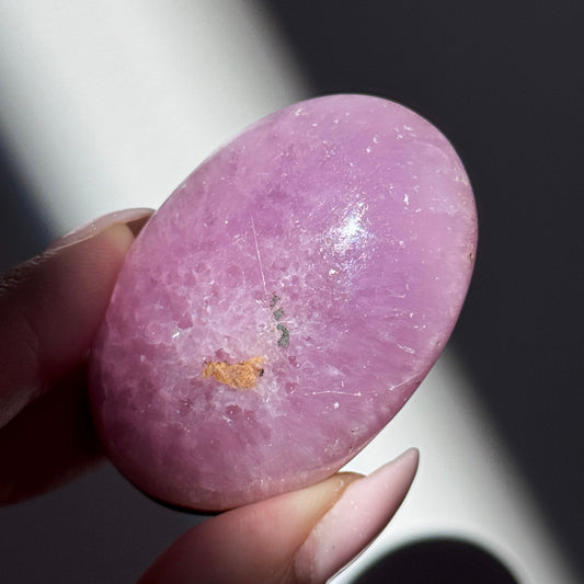 pink aragonite palm