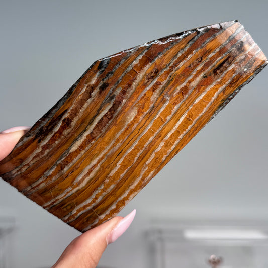 Mammoth Tooth Slabs