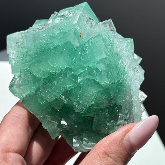 Green Halite Specimen [Rudna Mine, Poland] #1