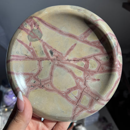 Picture Jasper Dish #12